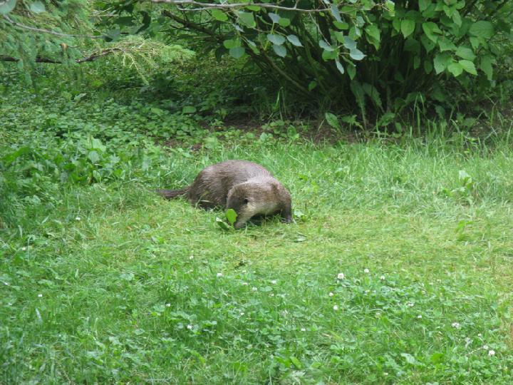 zoo 006.JPG